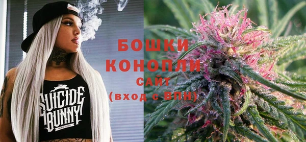 шишки Белокуриха