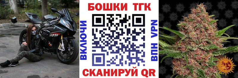 купить наркотик  Волосово  МАРИХУАНА сатива 
